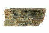 Olive Green Tremolite Crystal - New York #72859-1